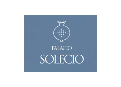 Hotel Palacio Solecio